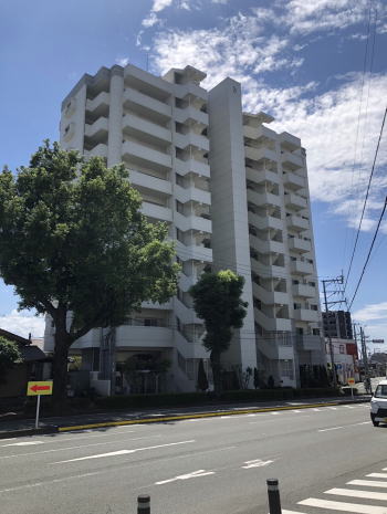 �F�{���̕s���Y�@�������SAKRA�s���Y�@�F�{�s����ԗ�5���ځ@�A���o�e�B�A�����@���}���V�����@�ʐ^