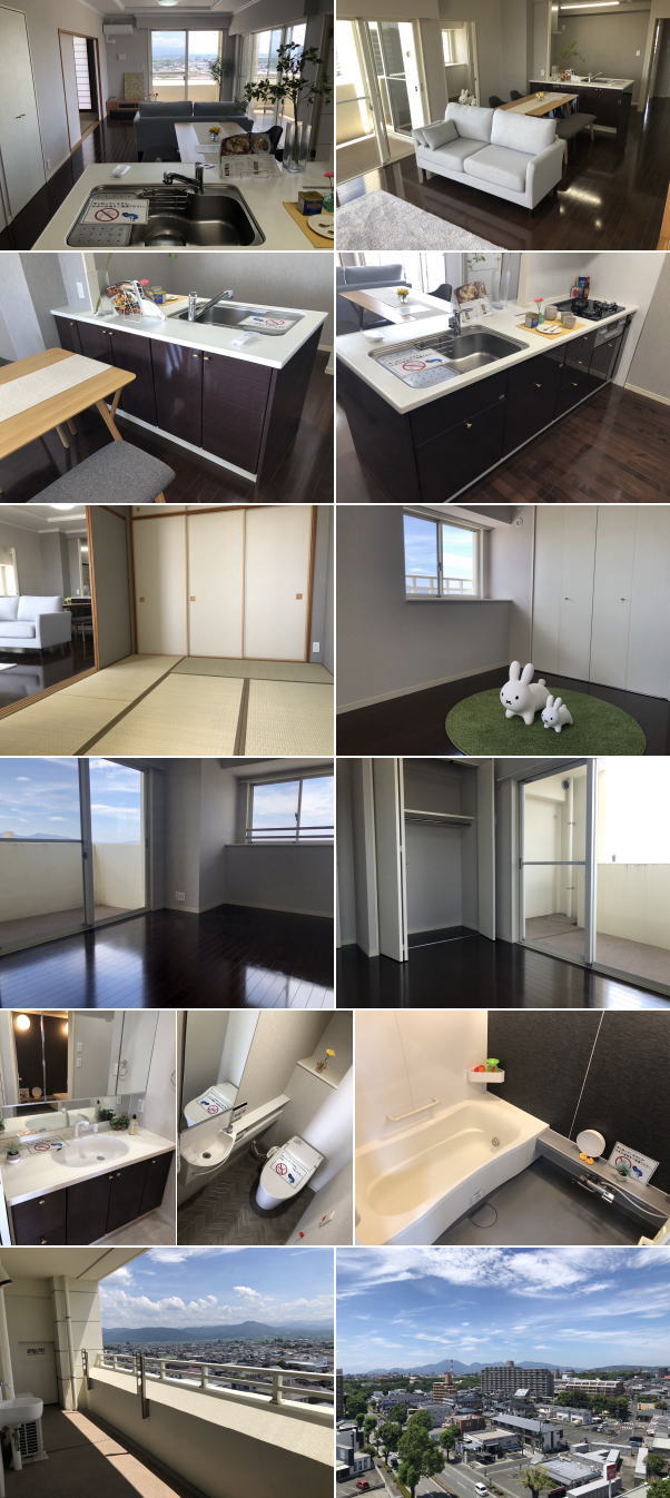 �F�{���̕s���Y�@�������SAKRA�s���Y�@�F�{�s����ԗ�5���ځ@�A���o�e�B�A�����@���}���V�����@�ʐ^