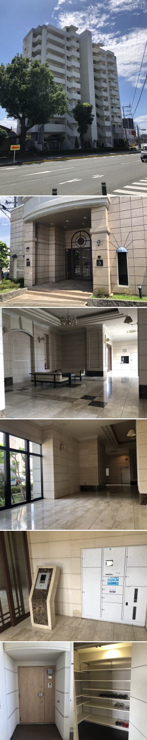 �F�{���̕s���Y�@�������SAKRA�s���Y�@�F�{�s����ԗ�5���ځ@�A���o�e�B�A�����@���}���V�����@�ʐ^