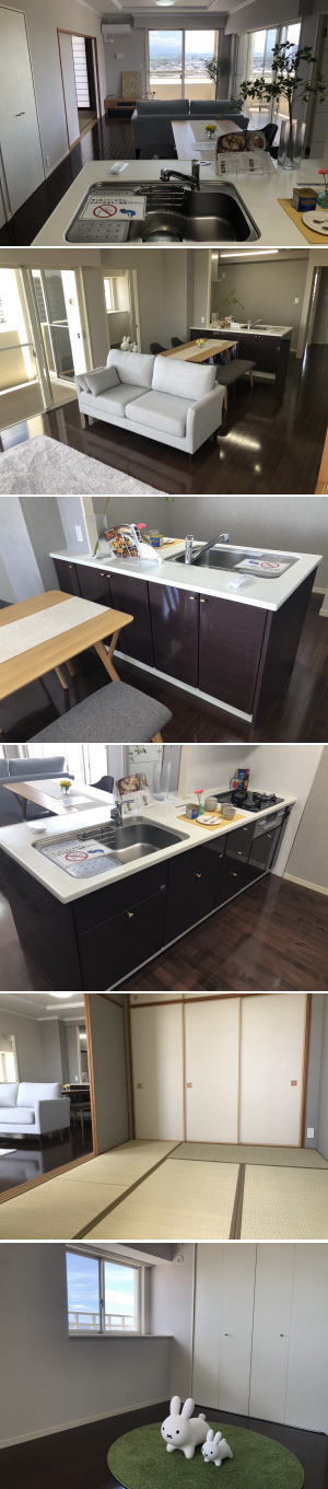 �F�{���̕s���Y�@�������SAKRA�s���Y�@�F�{�s����ԗ�5���ځ@�A���o�e�B�A�����@���}���V�����@�ʐ^