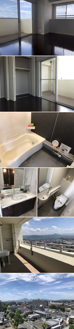 �F�{���̕s���Y�@�������SAKRA�s���Y�@�F�{�s����ԗ�5���ځ@�A���o�e�B�A�����@���}���V�����@�ʐ^