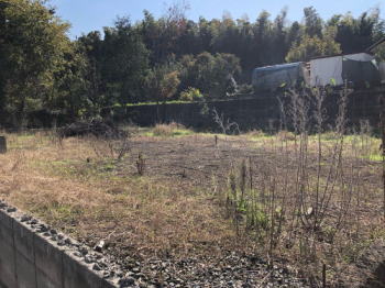 �F�{���̕s���Y�@�������SAKRA�s���Y�@�F�{�s����쒬���R���n�@���n�ʐ^