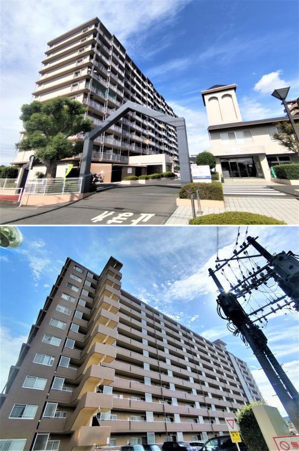 �F�{���̕s���Y�@�������SAKRA�s���Y�@�F�{�s���撷�䐼1���ځ@�T���A���j�e�B1�Ԋف@���}���V�����@�ʐ^